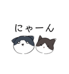 ねこひなた①（個別スタンプ：7）