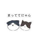 ねこひなた①（個別スタンプ：11）
