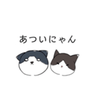 ねこひなた①（個別スタンプ：15）