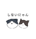 ねこひなた①（個別スタンプ：19）