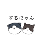 ねこひなた①（個別スタンプ：20）