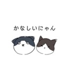 ねこひなた①（個別スタンプ：24）