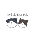 ねこひなた①（個別スタンプ：31）
