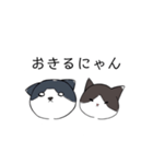 ねこひなた①（個別スタンプ：33）