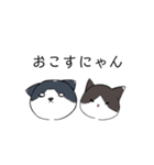 ねこひなた①（個別スタンプ：34）