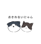 ねこひなた①（個別スタンプ：36）