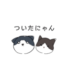 ねこひなた①（個別スタンプ：38）