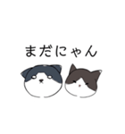 ねこひなた①（個別スタンプ：39）