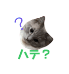ほっこりラグちゃん 2（個別スタンプ：5）