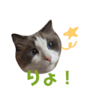 ほっこりラグちゃん 2（個別スタンプ：6）
