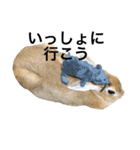 うさぎのうたまろ（個別スタンプ：9）