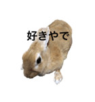 うさぎのうたまろ（個別スタンプ：14）