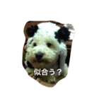 ベリーのスタンプ（個別スタンプ：2）