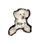 ベリーのスタンプ（個別スタンプ：5）