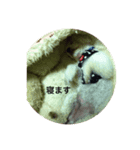 ベリーのスタンプ（個別スタンプ：7）
