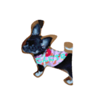 愛犬 ぷりん（個別スタンプ：10）