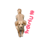 愛犬ラルフ（個別スタンプ：1）