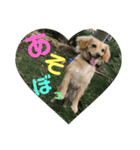 愛犬ラルフ（個別スタンプ：8）
