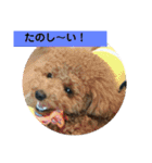 モネ＆シャンシャン2（個別スタンプ：6）
