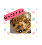 モネ＆シャンシャン2（個別スタンプ：7）