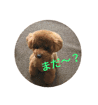 モネ＆シャンシャン2（個別スタンプ：10）