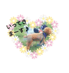 モネ＆シャンシャン2（個別スタンプ：13）