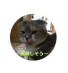 リリィのスタンプ（個別スタンプ：2）