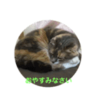 リリィのスタンプ（個別スタンプ：5）