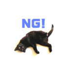 モノトーンねこスタンプ（個別スタンプ：4）