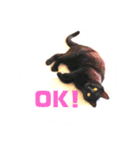 モノトーンねこスタンプ（個別スタンプ：5）