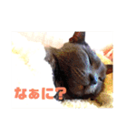 モノトーンねこスタンプ（個別スタンプ：17）
