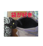モノトーンねこスタンプ（個別スタンプ：32）