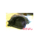 モノトーンねこスタンプ（個別スタンプ：35）