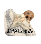 吉田りたくん（個別スタンプ：13）