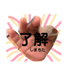 あゆちゃんず3（個別スタンプ：12）