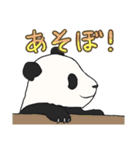 ごろごろ♪子パンダ（個別スタンプ：23）