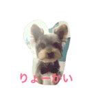 テツトのスタンプ（個別スタンプ：2）