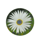 あなたに花を 心から。（個別スタンプ：7）