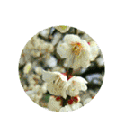あなたに花を 心から。（個別スタンプ：9）