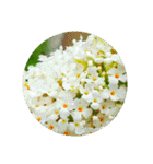 あなたに花を 心から。（個別スタンプ：31）