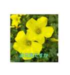 あなたに花を 心から。（個別スタンプ：37）
