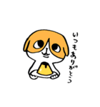 犬のハチワレ 2（個別スタンプ：1）