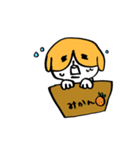 犬のハチワレ 2（個別スタンプ：6）