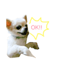 ポッキーくん。（個別スタンプ：1）