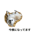 ポッキーくん。（個別スタンプ：8）