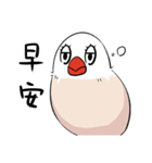 文鳥ちゃんとペンギンくん（個別スタンプ：1）