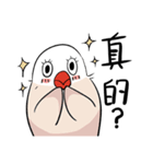 文鳥ちゃんとペンギンくん（個別スタンプ：5）