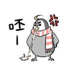 文鳥ちゃんとペンギンくん（個別スタンプ：16）