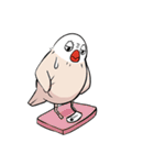 文鳥ちゃんとペンギンくん（個別スタンプ：25）