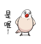 文鳥ちゃんとペンギンくん（個別スタンプ：35）